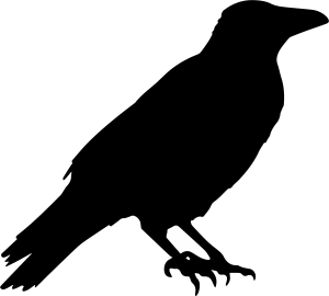 Raven PNG-71379